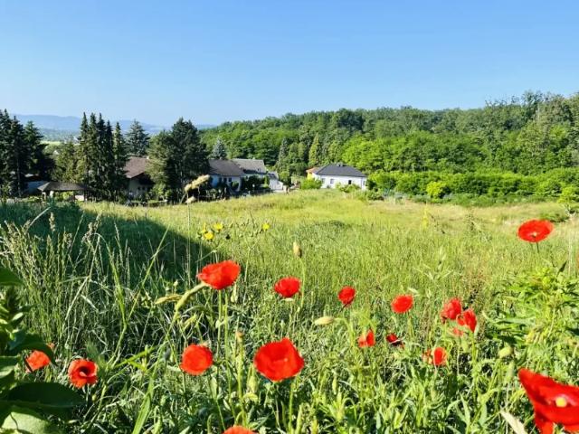 Grundstück kaufen in Leobendorf, Niederösterreich