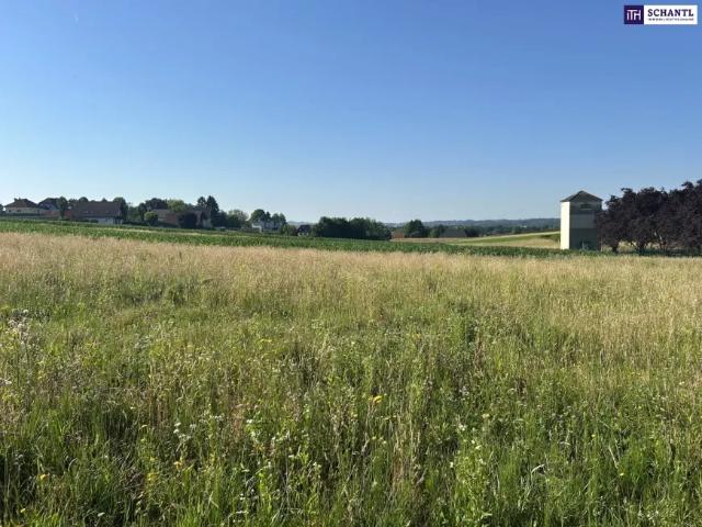 Grundstück kaufen in Lieboch, Steiermark