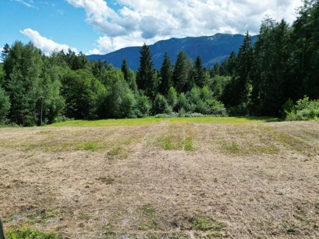 Grundstück kaufen in Seeboden, Kärnten