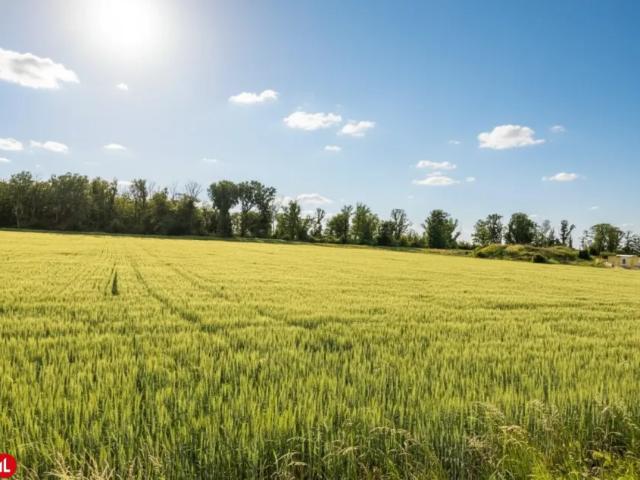 Grundstück mieten in Enzersdorf an der Fischa, Niederösterreich