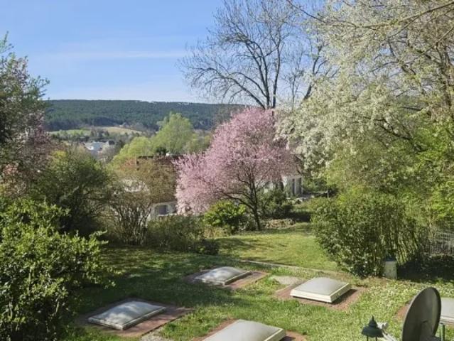 Grundstück kaufen in Markt Piesting, Niederösterreich