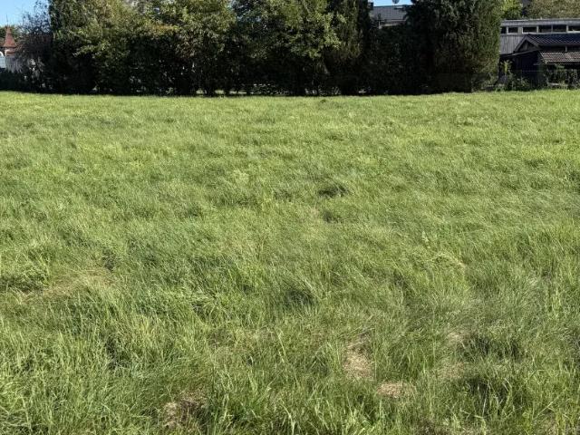 Grundstück kaufen in Mattighofen, Oberösterreich
