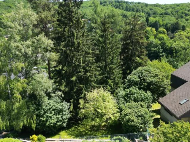 Grundstück kaufen in Mauerbach, Niederösterreich