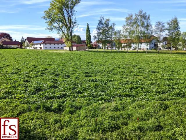 Grundstück kaufen in Michaelnbach, Oberösterreich