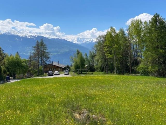 Grundstück kaufen in Arbaz, Wallis