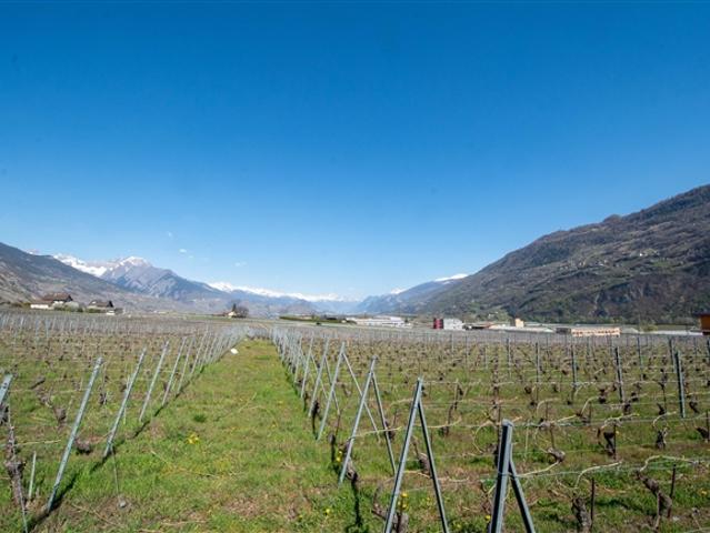 Wohnung kaufen in Chamoson, Wallis