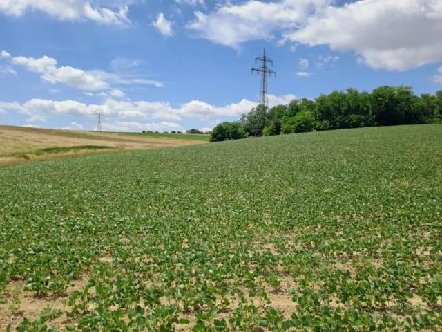 Grundstück kaufen in Moosbrunn, Niederösterreich