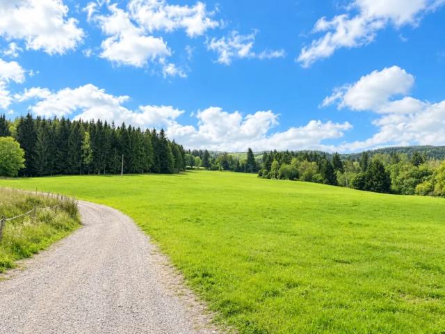 Grundstück kaufen in Mühlen, Bezirk Murau