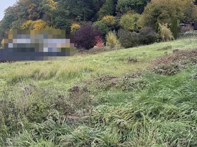 Grundstück kaufen in Gewerbegebiet Munderfing Süd, Munderfing