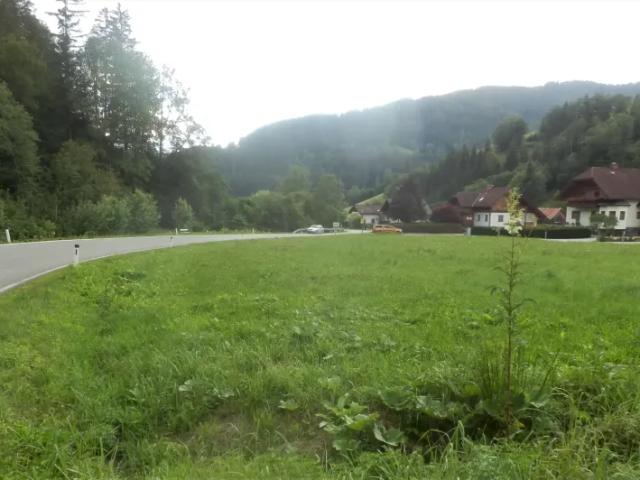 Grundstück mieten in Neuberg an der Mürz, Steiermark