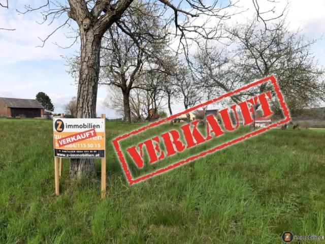 Grundstück kaufen in Mischendorf, Burgenland
