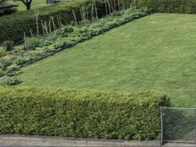 Grundstück kaufen in Neuhofen im Innkreis, Oberösterreich