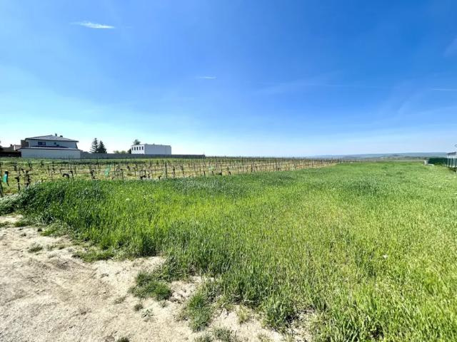 Grundstück kaufen in Neusiedl am See, Burgenland