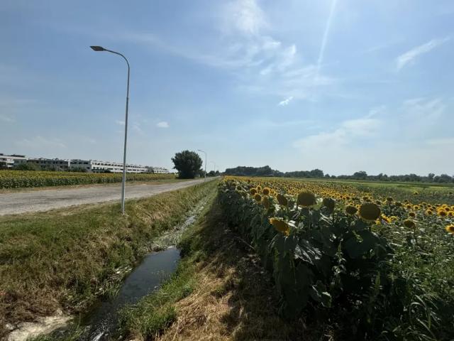 Grundstück kaufen in Neusiedl am See, Burgenland