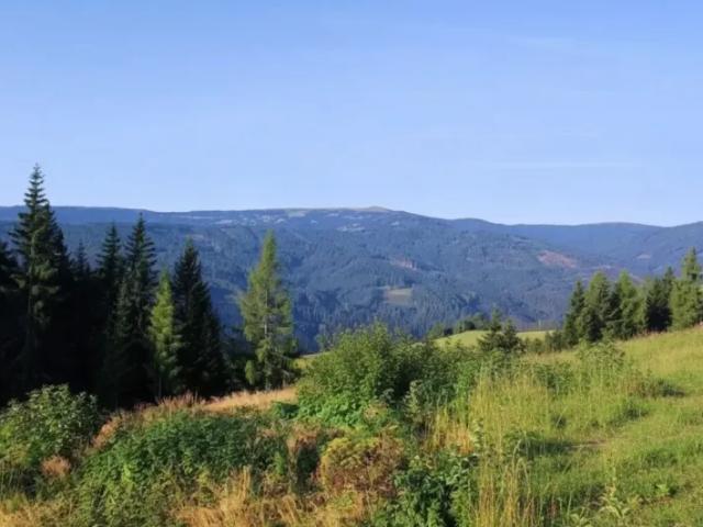 Grundstück kaufen in Obdach, Steiermark