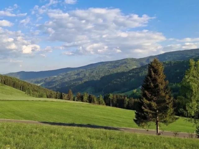 Grundstück kaufen in Obdach, Bezirk Murtal