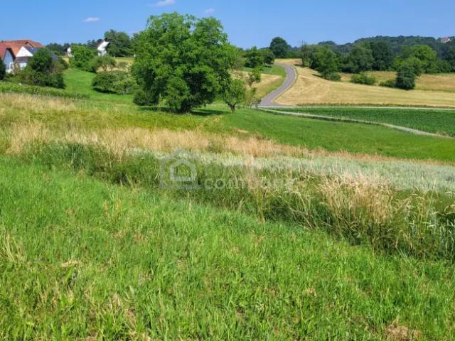 Grundstück kaufen in Kirchberg an der Raab, Steiermark
