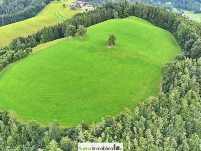 Grundstück kaufen in Oberschlierbach, Oberösterreich