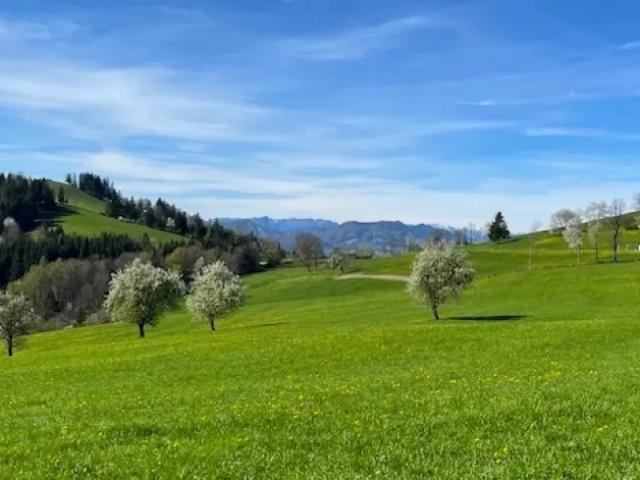 Grundstück kaufen in Oberndorf an der Melk, Niederösterreich