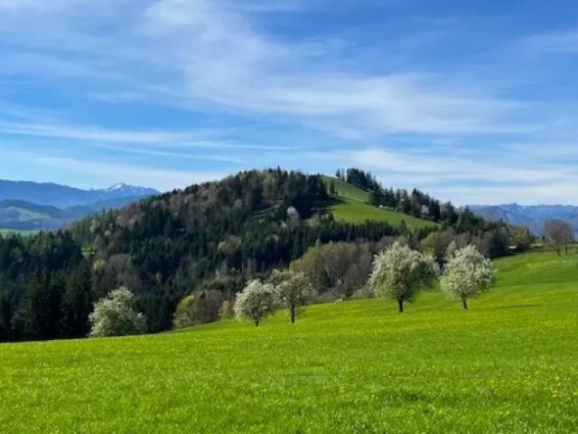 Grundstück kaufen in Oberndorf an der Melk, Niederösterreich