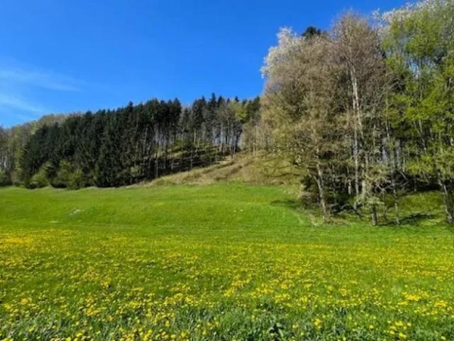 Grundstück kaufen in Oberndorf an der Melk, Niederösterreich