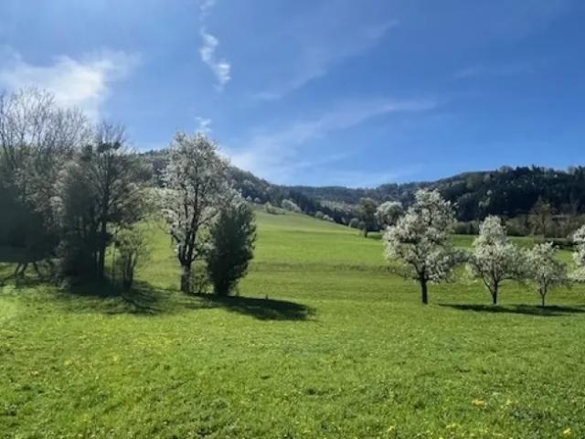 Grundstück kaufen in Oberndorf an der Melk, Niederösterreich