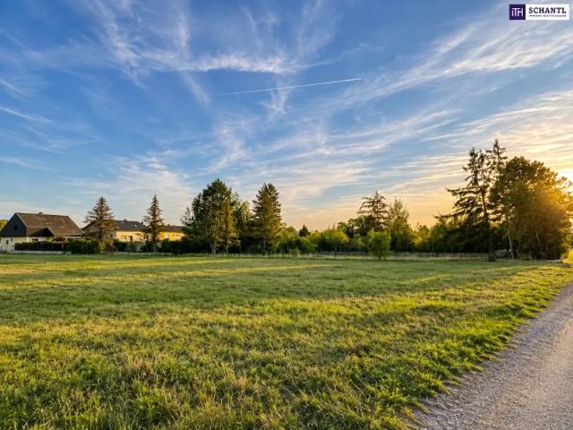 Grundstück kaufen in Neu-Pischelsdorf, Götzendorf an der Leitha
