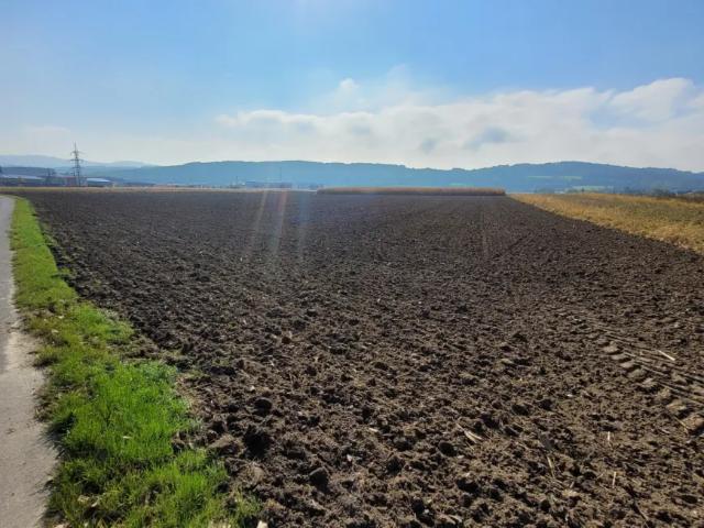 Grundstück mieten in Pöchlarn, Niederösterreich
