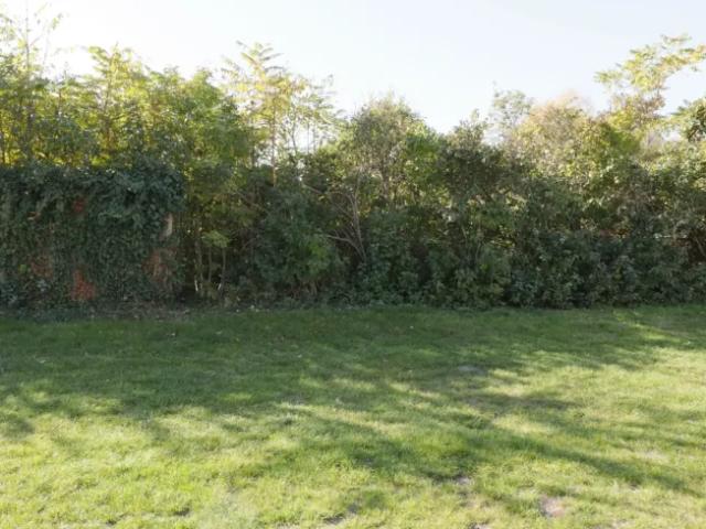 Grundstück kaufen in Podersdorf am See, Burgenland