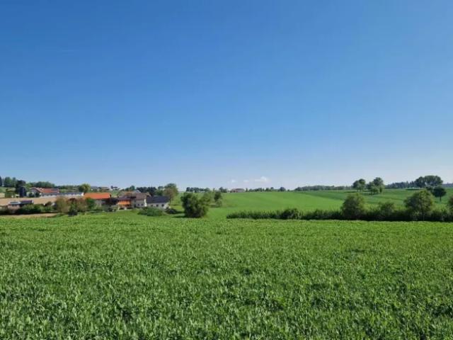 Grundstück kaufen in Pollham, Oberösterreich