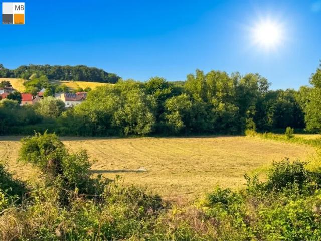 Grundstück kaufen in Potzneusiedl, Burgenland