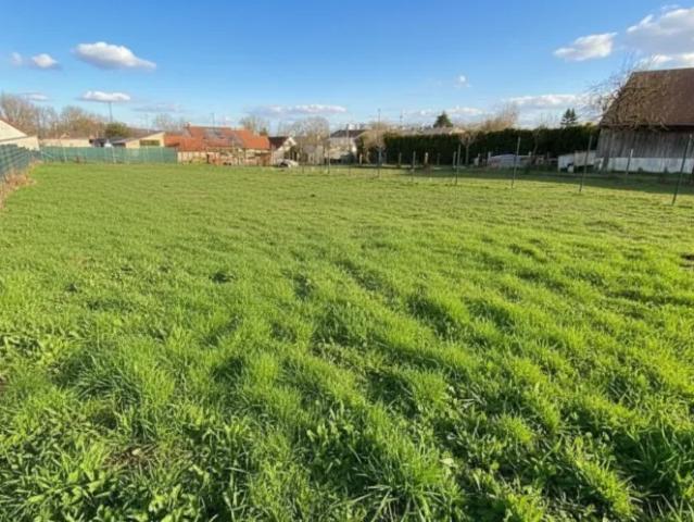 Grundstück kaufen in Potzneusiedl, Burgenland