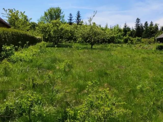 Grundstück kaufen in Pressbaum, Niederösterreich