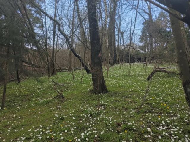 Grundstück kaufen in Pressbaum, Niederösterreich