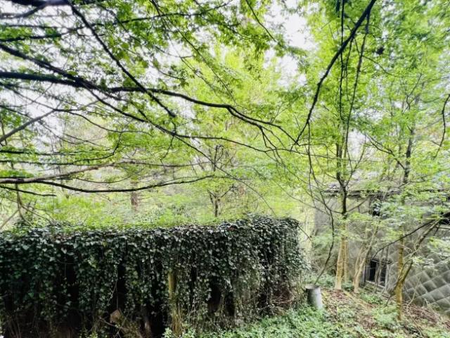 Grundstück kaufen in Pressbaum, Niederösterreich
