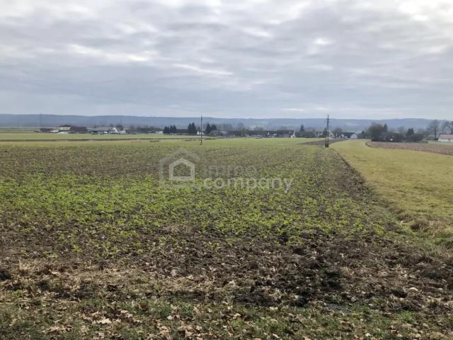 Grundstück kaufen in Jennersdorf, Burgenland