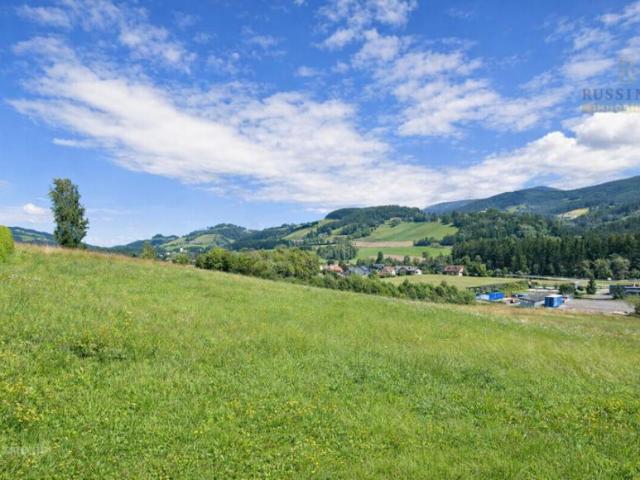 Grundstück kaufen in Katastralgemeinde Reichenfels, Reichenfels