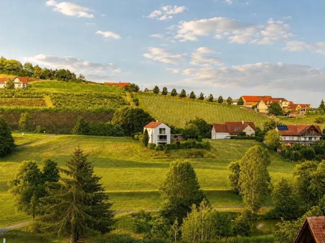 Grundstück kaufen in Riegersburg, Steiermark