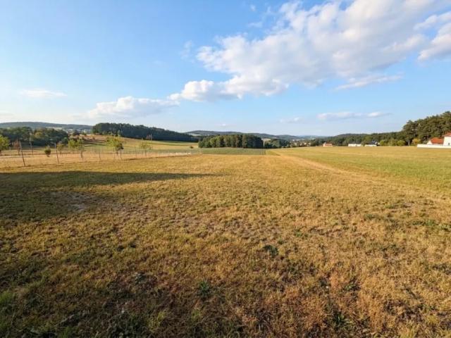 Grundstück kaufen in Alberndorf in der Riedmark, Oberösterreich