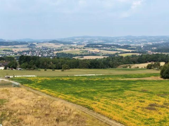 Grundstück kaufen in Ruhstetten, Katsdorf