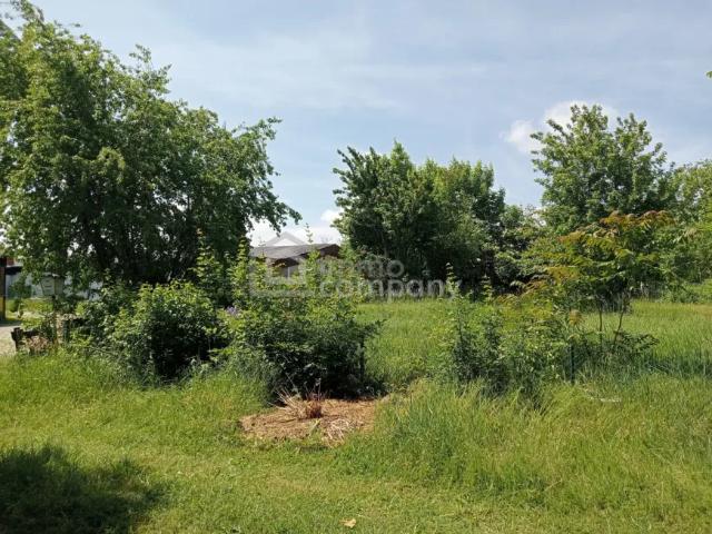 Grundstück kaufen in St. Andrä am Zicksee, Burgenland