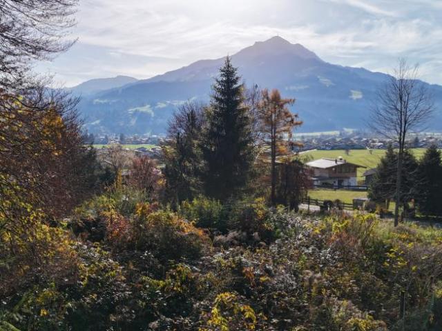 Grundstück kaufen in St. Johann im Pongau, Kärnten