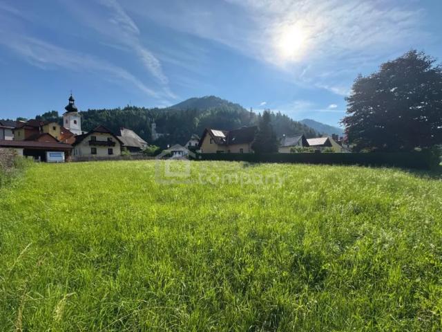 Grundstück kaufen in Tragöß, Steiermark