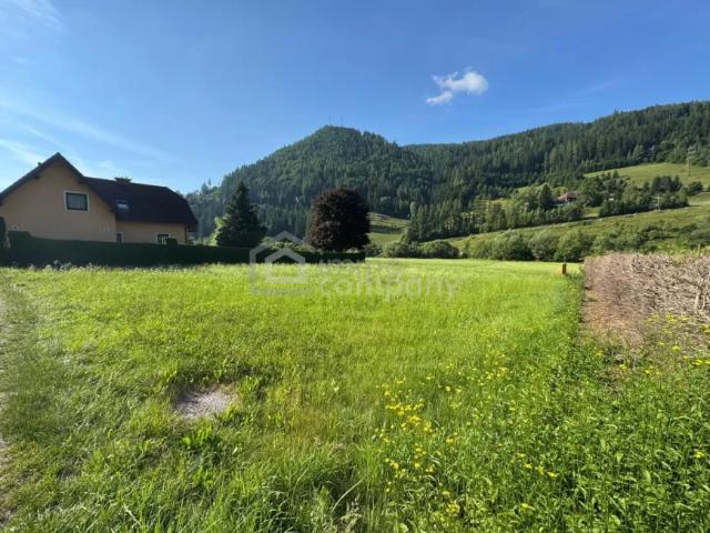 Grundstück kaufen in Tragöß, Steiermark