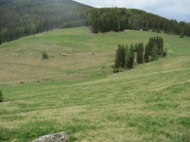 Grundstück kaufen in St. Margarethen bei Knittelfeld, Steiermark