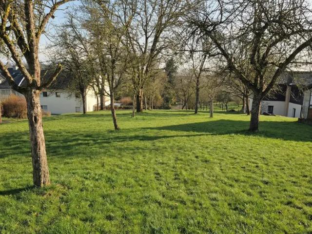 Grundstück kaufen in St. Marienkirchen an der Polsenz, Oberösterreich