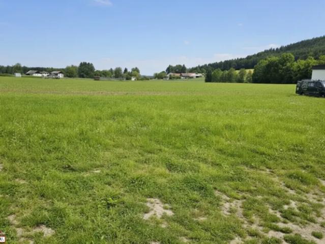 Grundstück kaufen in Schalchen, Oberösterreich