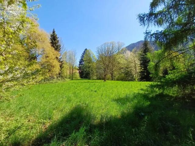 Grundstück kaufen in Viechtwang, Scharnstein