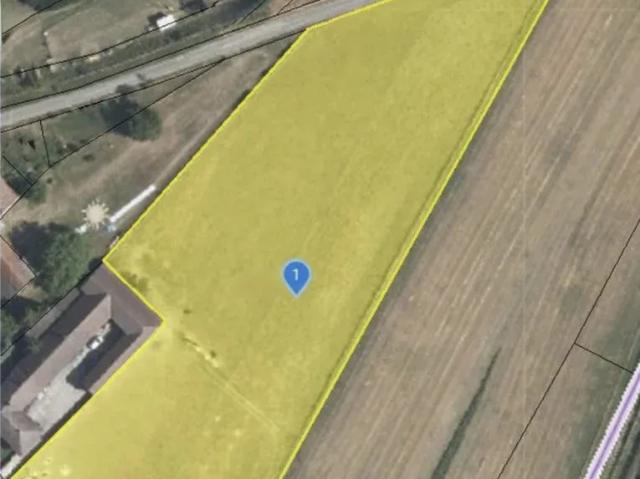 Grundstück kaufen in Schönberg am Kamp, Bezirk Krems