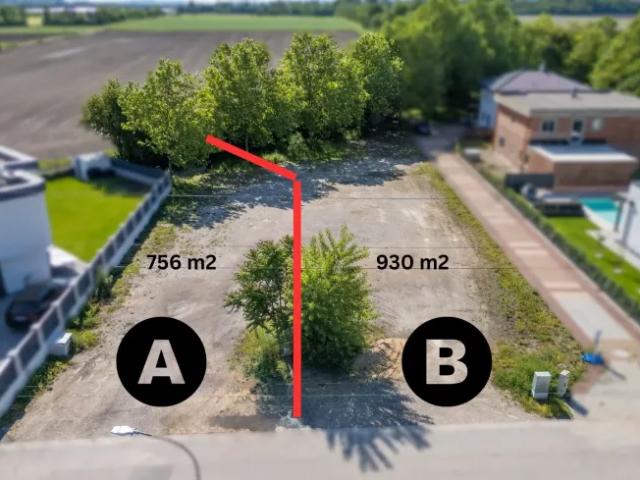 Grundstück kaufen in Schwadorf, Niederösterreich